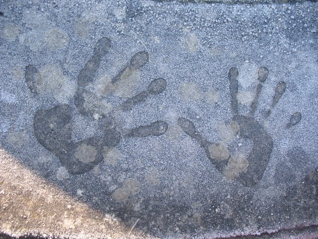 2007 11 Etangs de Hollande 36